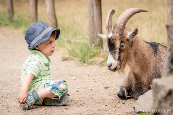 20150809-Wildpark-Hanau-AK-520