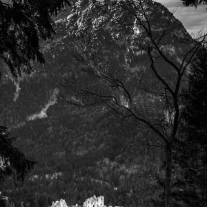 Burgruine Ehrenberg, Österreich