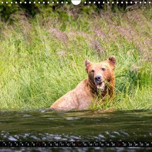 Kalender Juli Kanada - So wild. So schön.